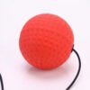 Boxing Training Fight Ball