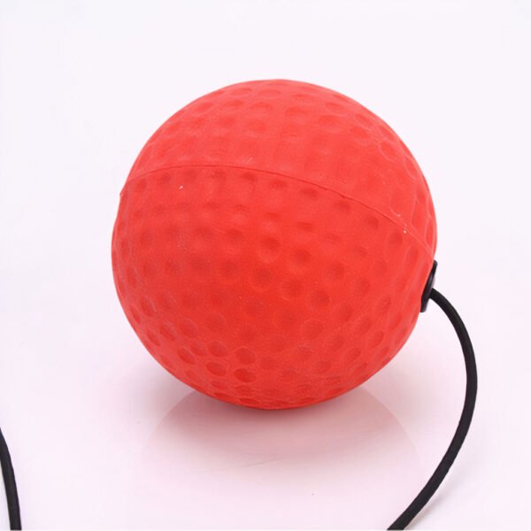 Boxing Training Fight Ball