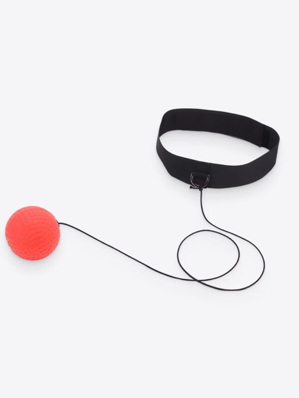 Boxing Training Fight Ball