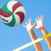 Elite Pro PU Leather Volleyball